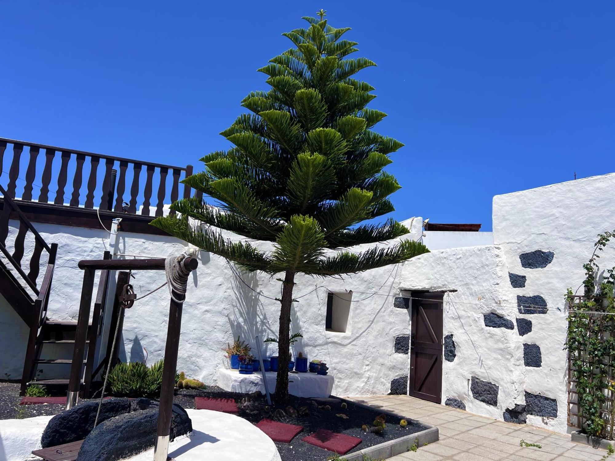 Villa Casa Rural Estilo Canario à San Bartolomé Extérieur photo